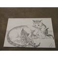 1970s Pencil Sketch Postcard - Kittens with Mot...