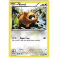 Pokemon XY - #106/146 - Bidoof
