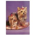 YORKSHIRE TERRIERS ...DOG vintage unused vintag...