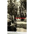 Old Hall Lane, Penrhyn Bay, Wales, P/PHBY 65 RP...