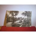 THE BRIDGE, UPAVON, WILTSHIRE used antique postcard Tomkins & Barrett c.1905 =