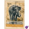 India 1963 - SG 474 - Indian Elephant 30np - us...