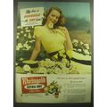1946 Rheingold Extra Dry Lager Beer Ad - My bee...