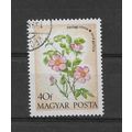 Hungary.SG2820 40fi Rosa Gallica.Fine Used.Oct22