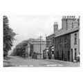 pt3215 - Outwood , British Oak , Yorkshire - Pr...
