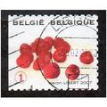 BEL 2007 (52c)(S/A) 'FRUIT- RASPBERRIES' FINE U...