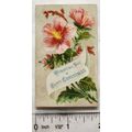 Vintage: small Christmas card - pink flowers