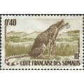 SOMALIA, CAT, Cheetah, Acinonyx jubatus, brown ...