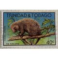 Trinidad & Tobago 1978 Wildlife 40c Brazilian P...