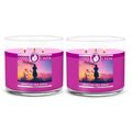 Goose Creek Mimosa Sea Spray Scented Large 3 Wi...