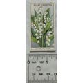 1933 Wills Garden Flowers No. 28 Lily of the Va...