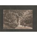 Postcard Sussex East Grinstead Blackwell Hollow...