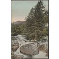 Fir Tree Island, Bettws-y-Coed, Caernarvonshire...