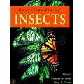 Encyclopedia Of Insects