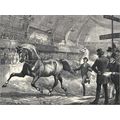 TROTTING AT THE ISLINGTON HORSE SHOW 1872 Basil...