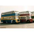 Colour Photo of Eastbourne Corporation Transpor...