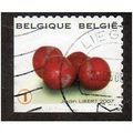 BEL 2007 (52c)(S/A) 'FRUIT- CHERRIES' FINE USED...