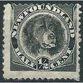 Newfoundland 1894 SG59 1/2c Black Mounted Mint ...