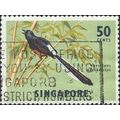 SINGAPORE, BIRD, White-rumped shama, Copsychus malabaricus, green 1963, 50c, #2