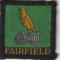 Scout Badge UK - Calder Valley - White Back (BY...