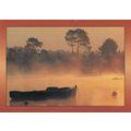 Cote Atlantique Early Softness France Postcard ...