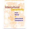 Intercultural sensitivity