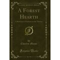 A Forest Hearth: A Romance of Indiana in the Th...