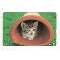 PHONE CARD - JAPAN - BROWN KITTEN IN POT
