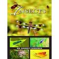 A Field Guide To Insects Of The Pacific Northwest