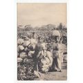 Ladies Vegetables Ceylon Postcard Publisher Joh...