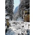 Neige et Soliel France Postcard unused VGC