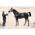 Hasard La France Chevaline 1907 Race Horse Anti...
