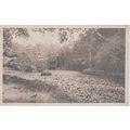 The Lilly Pond Horndean Hampshire (QHAM548)