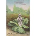 CARTE POSTALE - Bébé - ref 4