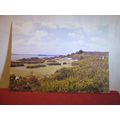 1ST SCOUT CAMP SITE, BROWNSEA ISLAND, DORSET un...