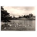 Capesthorne. Flower Gardens.... - Postally Unus...