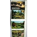 Vintage: 13 Views Queen Elizabeth Park & Bloede...