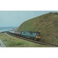 Western Yeoman Train D1035 Cardiff Railway Stat...