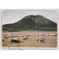 Puy de Dome France Postcard unused VGC