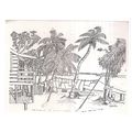 MONKEY RIVER, BELIZE used postcard 1988 postmark =