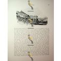 In The Campo Santo, Genoa, Italy, Book Illustra...