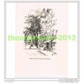 ITALIAN CULTURE, NICE, FRANCE, BOOK ILLUSTRATIO...