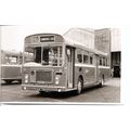 Black & White Photograph of Bristol Omnibus Co....