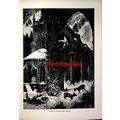 Ruins Of Allerheiligen, Winter, Black Forest, B...