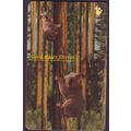 Good Mates Forever S'pore $5 Telephone Card (Used)