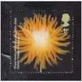 2004 GB ROYAL HORTICULTURAL SOCIETY 1ST F/U SG2457