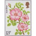 Great Britain 1976 Roses 13p Sweet Briar Unmoun...