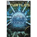 VARIANT - TEENAGE MUTANT NINJA TURTLES NO. 56 (...