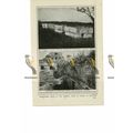 Ruins of Imperial Town, Uxmal, Yucatan, Mexico,...