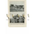 Everyday Life, Moqui Indians, Colorado, USA, Bo...